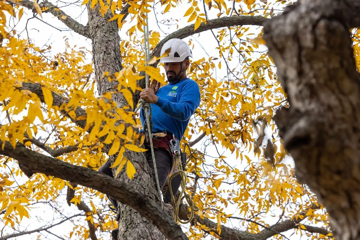 Skilled Storm Damage Cleanup crew working in Leroy