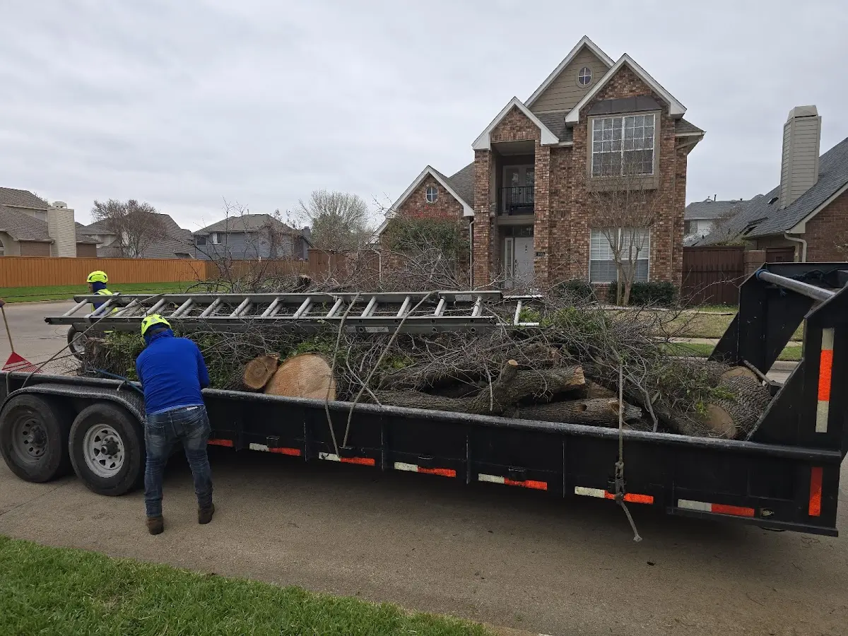 Expert Crown Reduction with proper safety equipment in Leroy